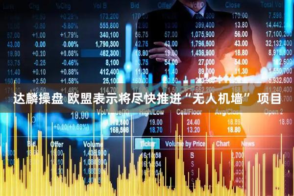 达麟操盘 欧盟表示将尽快推进“无人机墙” 项目